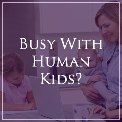 Busy with human kids?