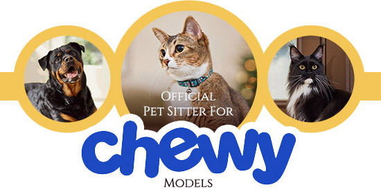chewy-models-mobile